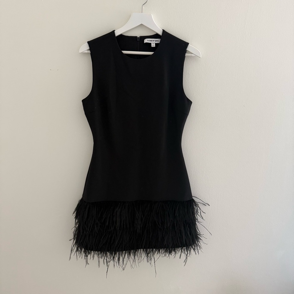 Elizabeth and James Size 6 Black Sleeveless Feather-Hem Mini Dress